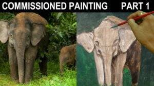 Video Tag: <span>wild life art</span>