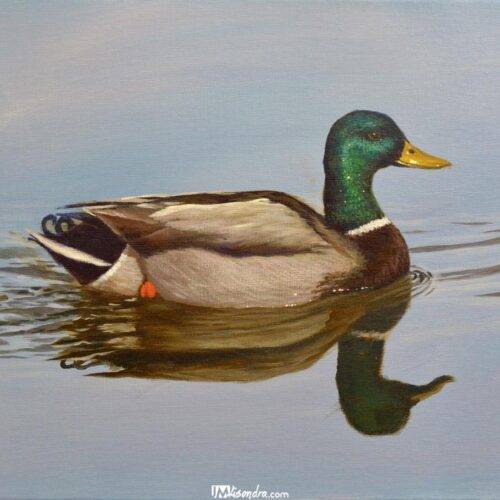 How to Paint Realistic Wid Duck - Full Step by Step Painting Tutorial in Acrylics
