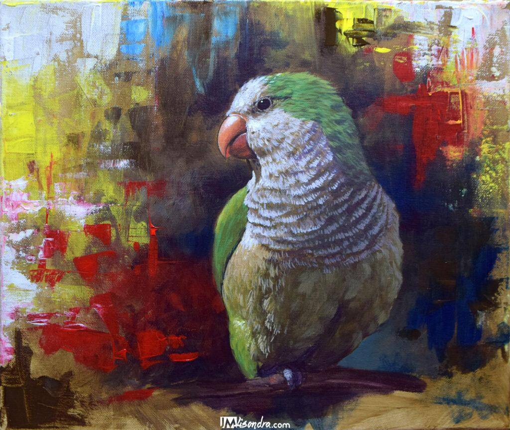 Quaker Parrot Bird - Acrylic Painting in Canvas by JMLisondra