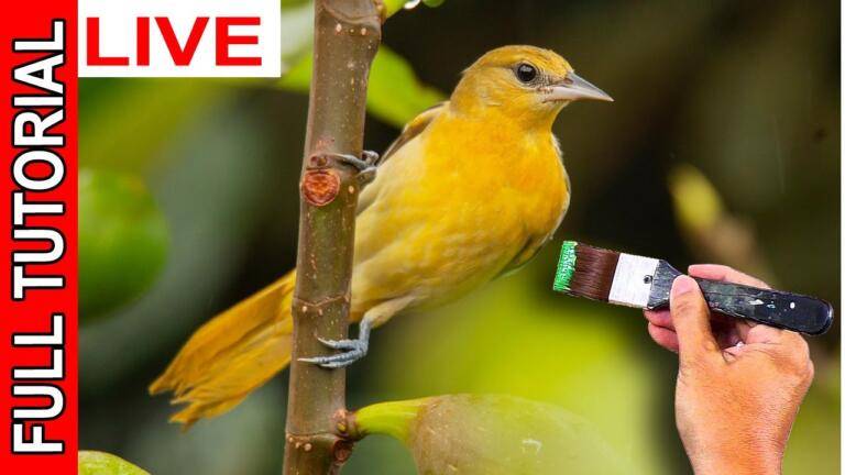 LIVE - How to Paint Yellow Bird in Acrylics | Full Tutorial | JMLisondra