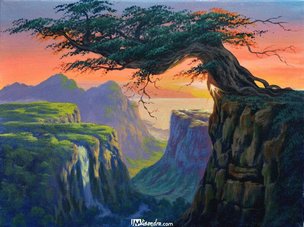 Overlooking old tree