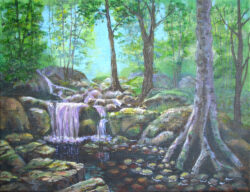 Forest waterfall & stream - Susan Hooper