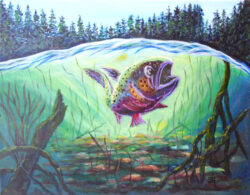 Rainbow Trout reworked - Susan Hooper