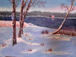snowny day on lake - Susan Hooper